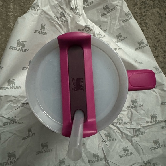 Stanley fuchsia - Picture 5 of 9